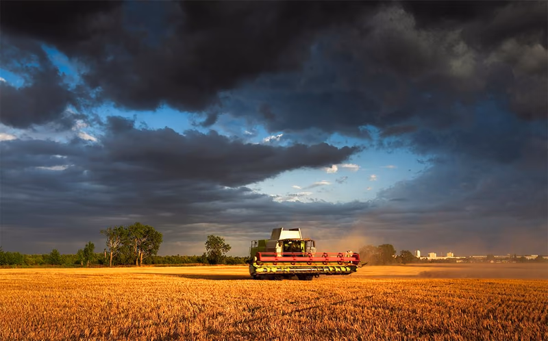Landschaftsmotiv, Portfolio
